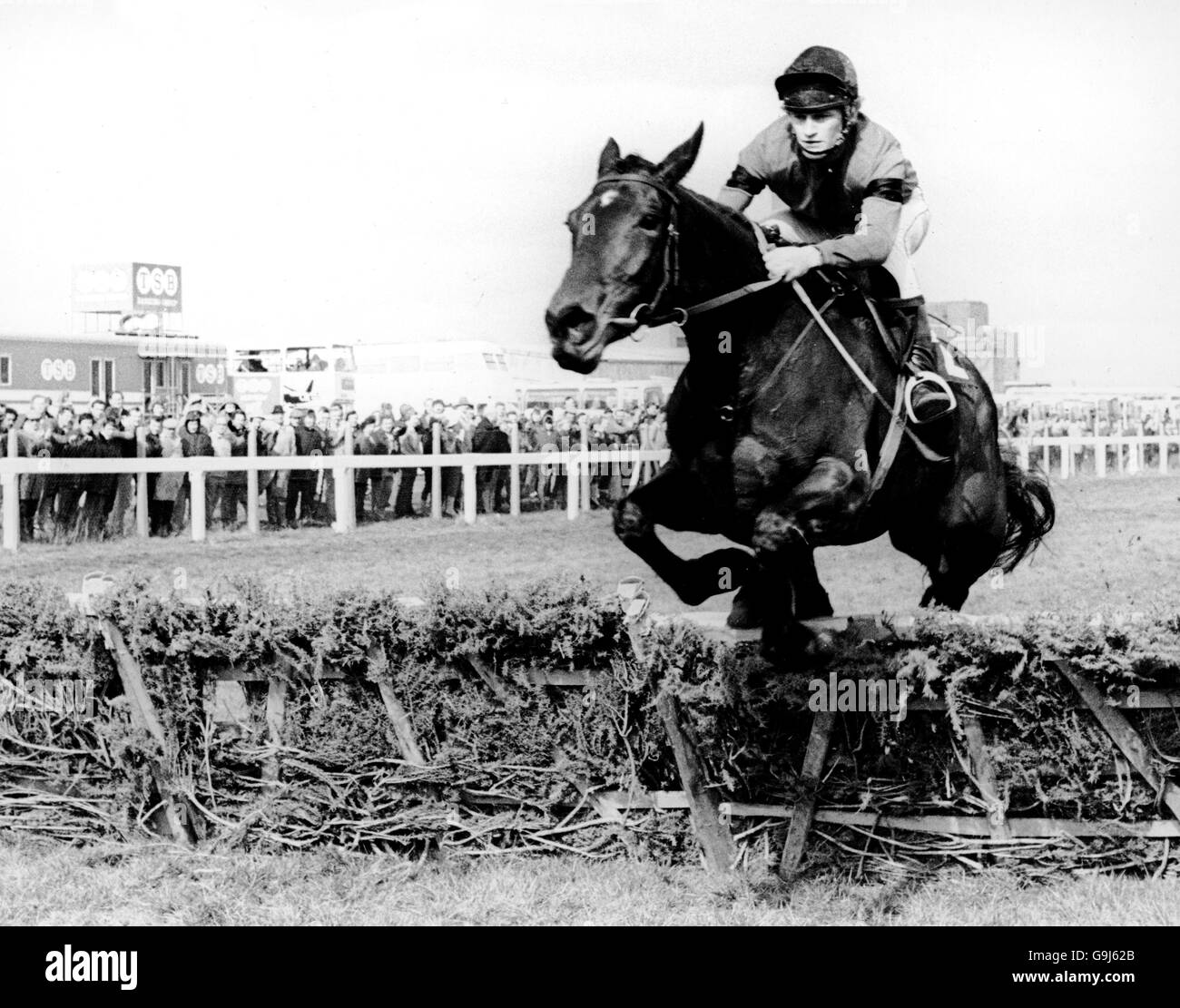 1980s horse racing hi-res stock photography and images - Alamy