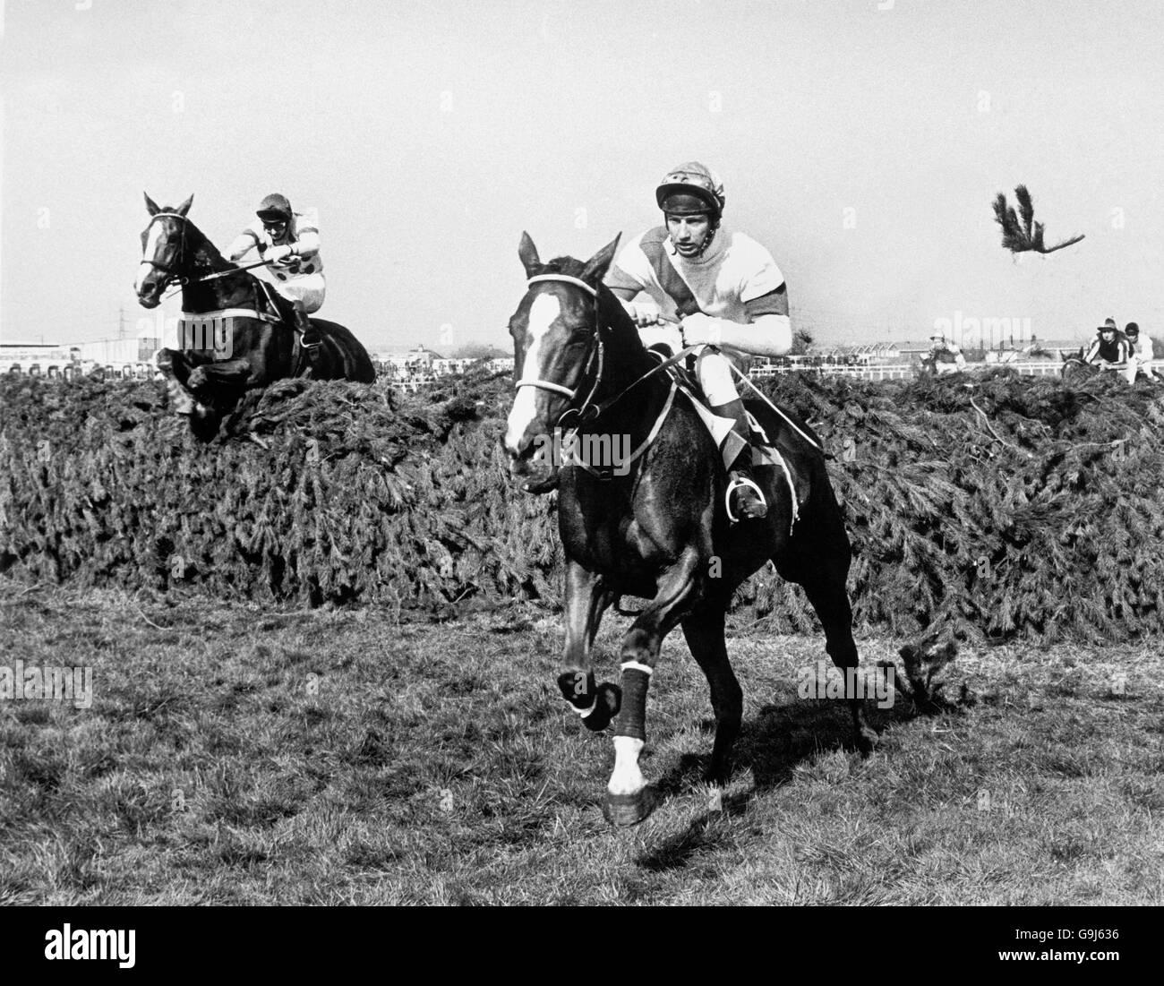 Aldaniti, ridden by Bob Champion, races to victory after clearing the last fence Stock Photo