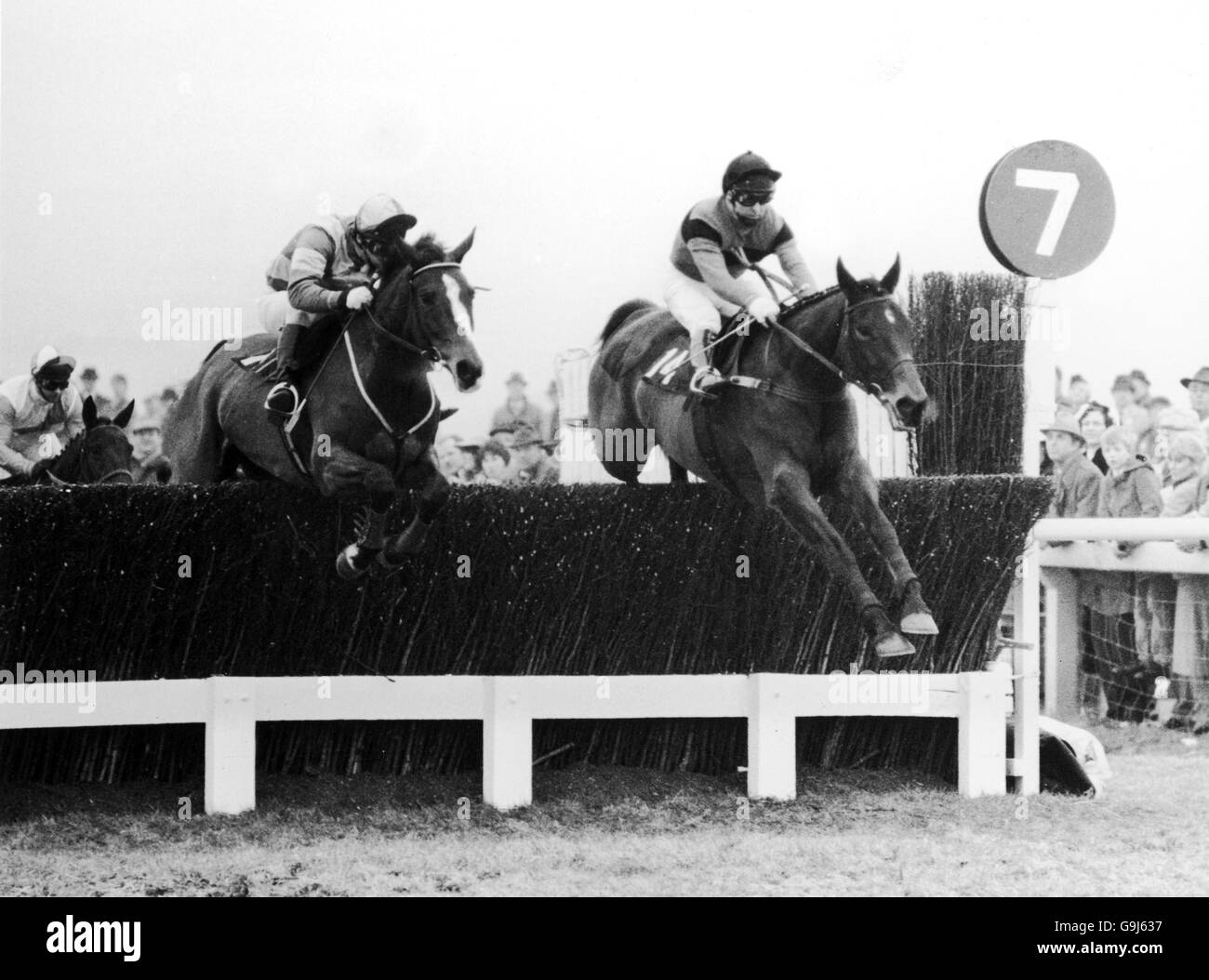 Horse Racing - Cheltenham Gold Cup - Cheltenham. Dawn Run, right, ridden by Jonjo O'Neill, leaps the hurdle just in front of Run and Skip, left, ridden by Steve Smith-Eccles. Stock Photo