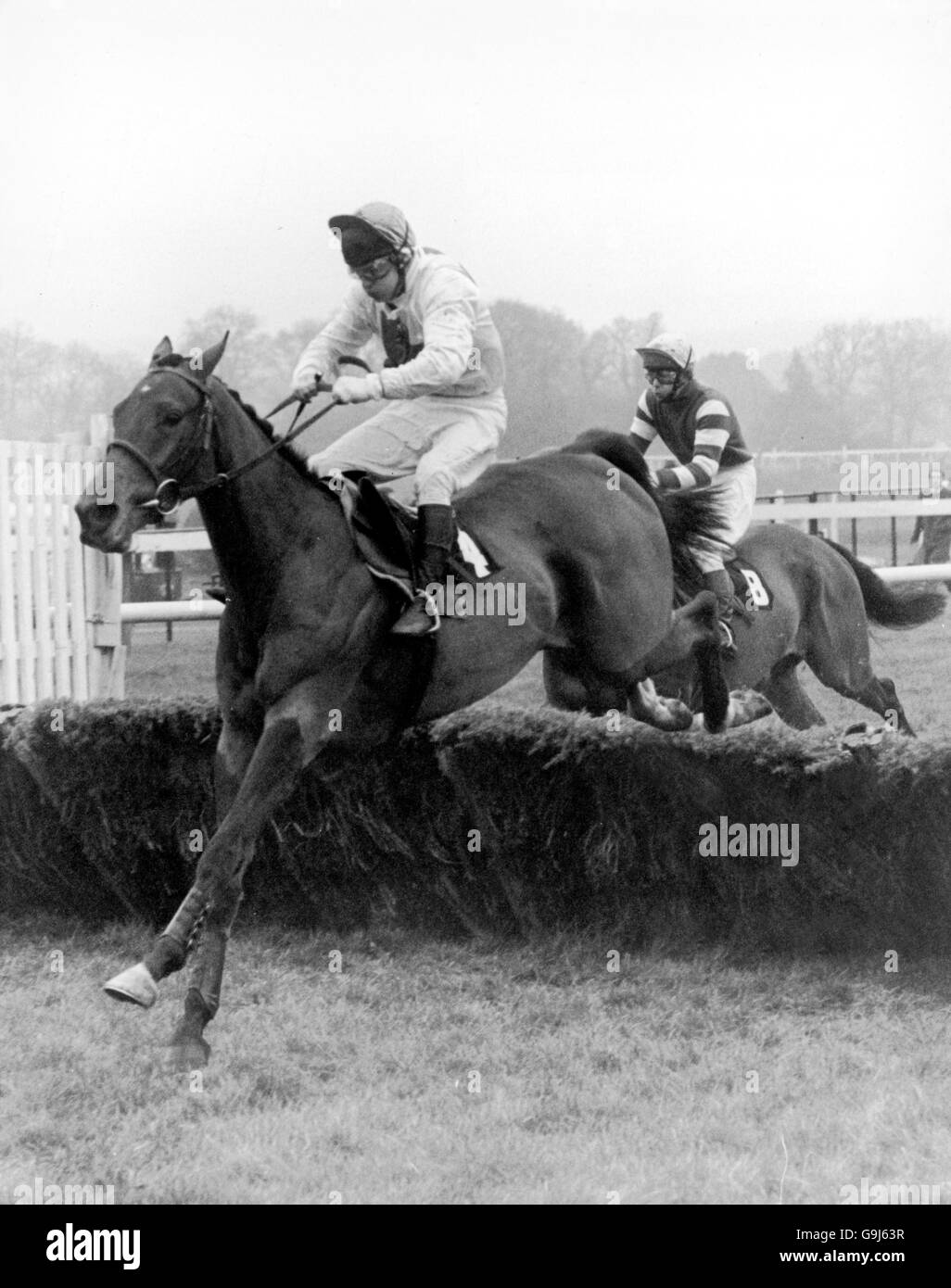 Horse Racing - SGB Hire Shop Hurdle - Ascot Stock Photo