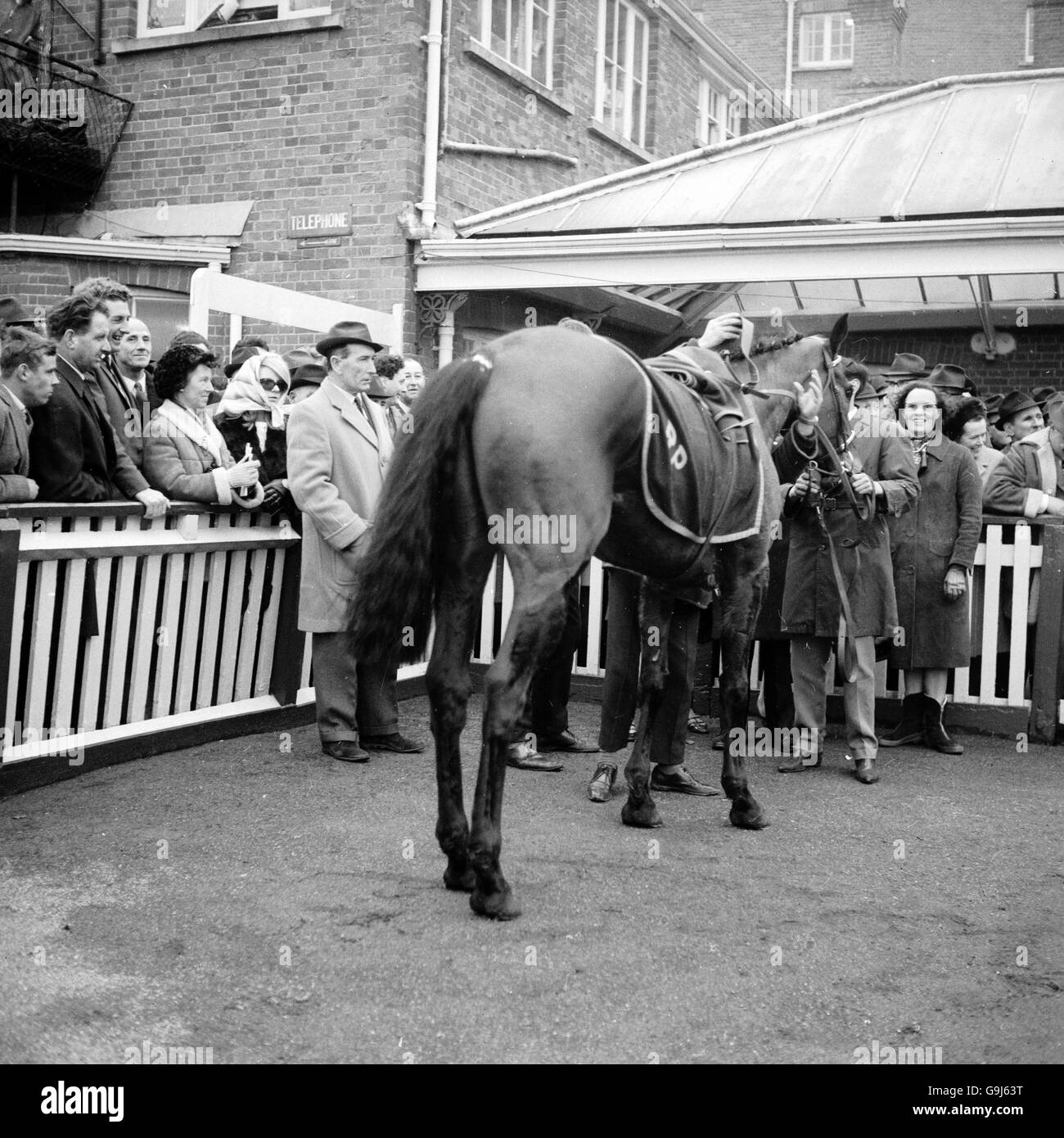 Horse Racing - Schweppes Gold Trophy Hurdle - Newbury Stock Photo