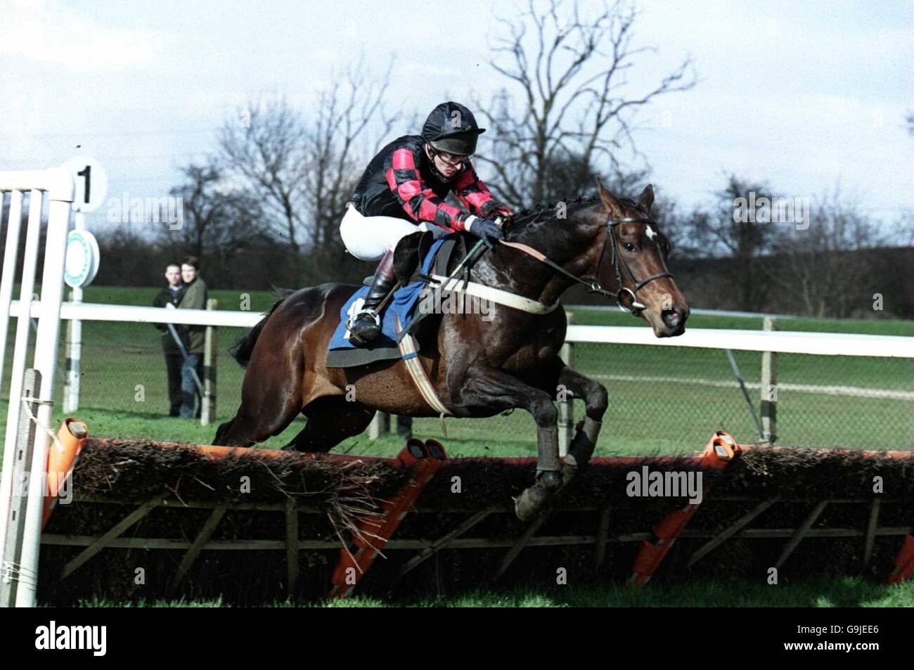 Norman Williamson jumps a fence on Dance Director in The Southern Counties Finance & Leasing Ltd Maiden Hurdle Race Stock Photo