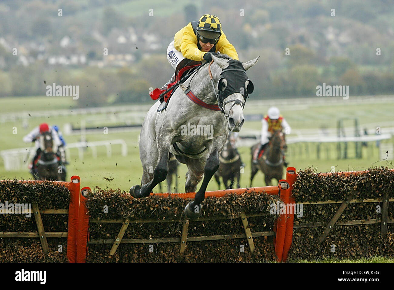 Racing - Cheltenham Stock Photo - Alamy