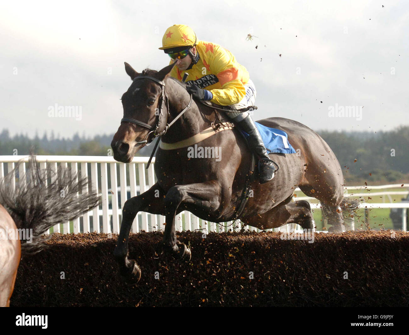 Bowleaze ridden by jockey Andrew Thornton on their way to winning the 3663 Duchy of Cornwall Challenge Cup Beginners' Chase at Exeter Racecourse. Stock Photo