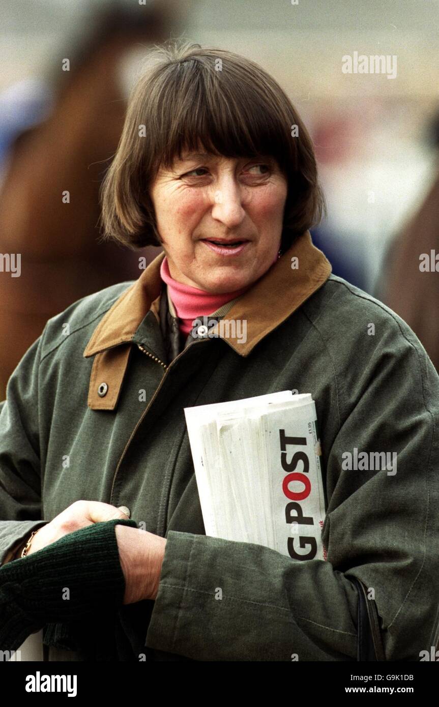 Horse Racing, Huntingdon Races. Henrietta Knight, trainer Stock Photo
