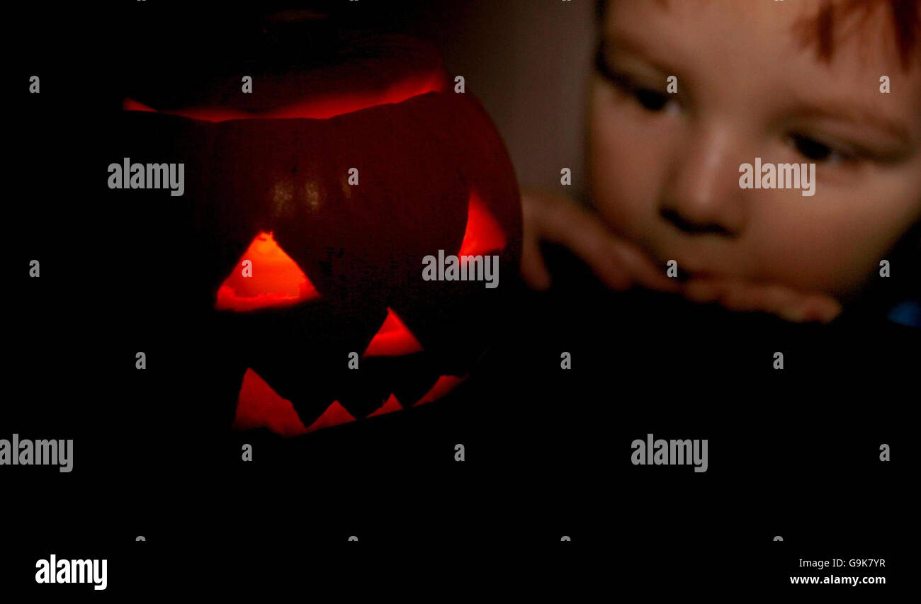 Inspects a halloween pumpkin hi-res stock photography and images - Alamy