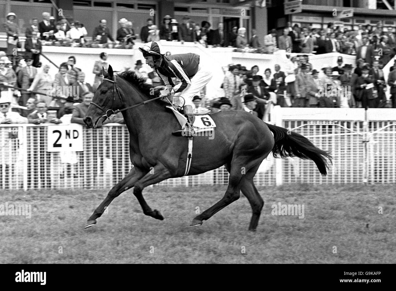 Horse Racing - Epsom. Vielle ridden by Lester Piggott comes in second place behind Master Willie ridden by P.Waldron Stock Photo