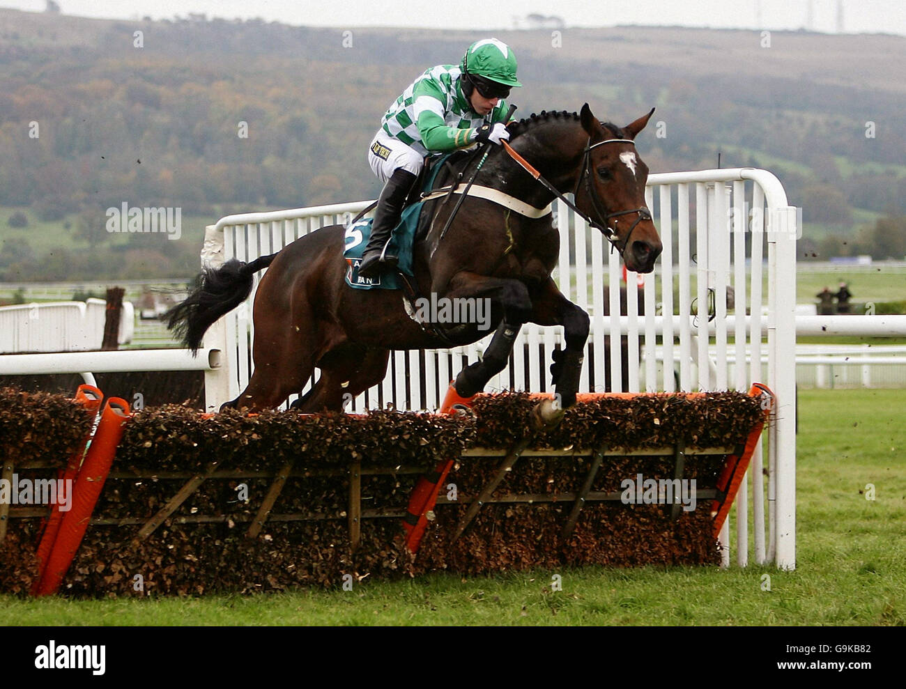 Racing - Cheltenham Stock Photo - Alamy