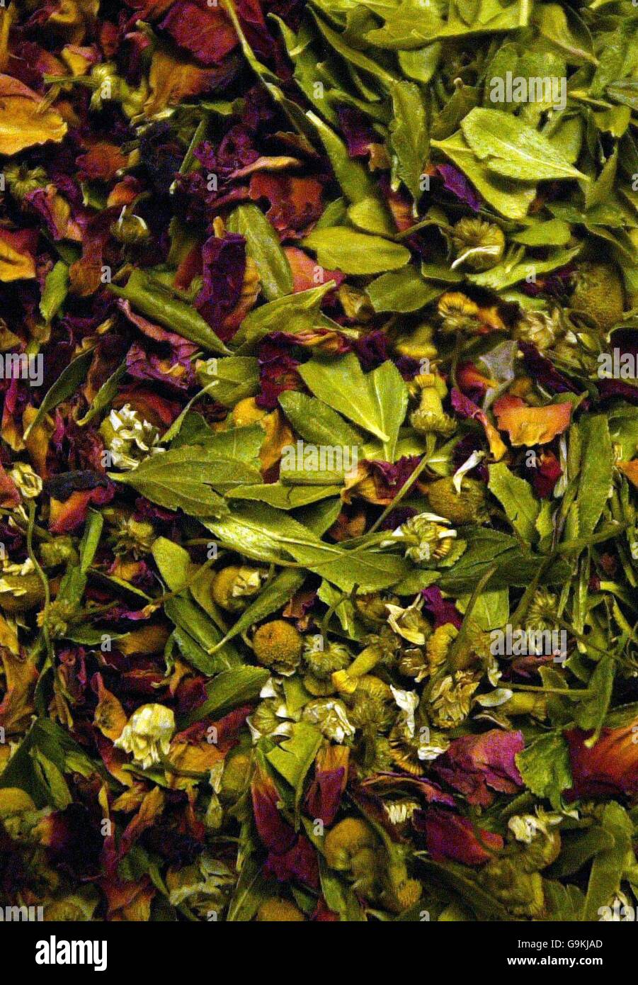 Herbs herbalists who use whole plant extracts plants in medicine hires