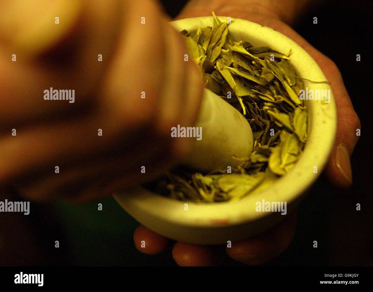 Alternative Medicine Stock Photo Alamy