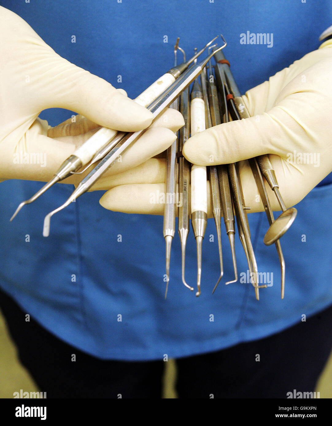 A dental nurse holds dental instruments Stock Photo Alamy