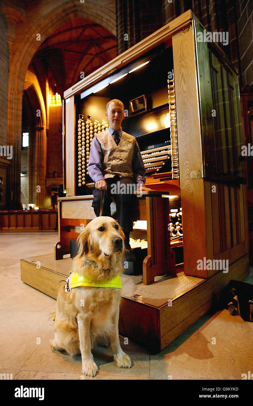 Guide Dogs anniversary Stock Photo