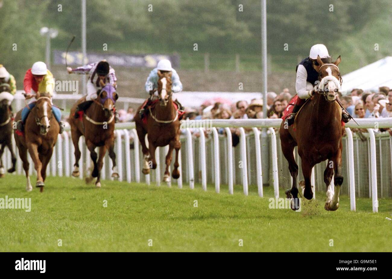 Horse Racing May Meeting Chester Stock Photo Alamy