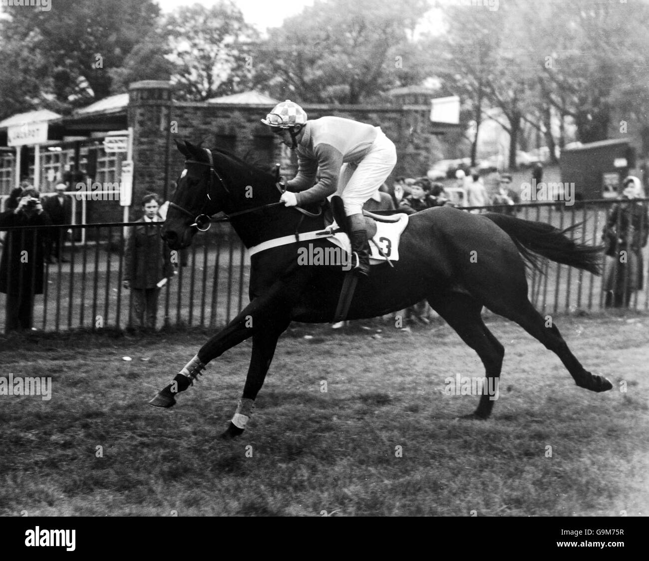 Crisp, ridden by Richard Pitman and owned by Sir Chester Manifold Stock Photo