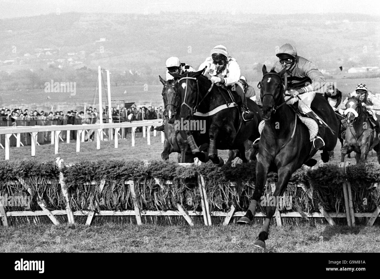 See You Then ridden by S.Smith Eccles taking the last fence to win from Robin Wonder ridden by J.J. O'Neill Stock Photo
