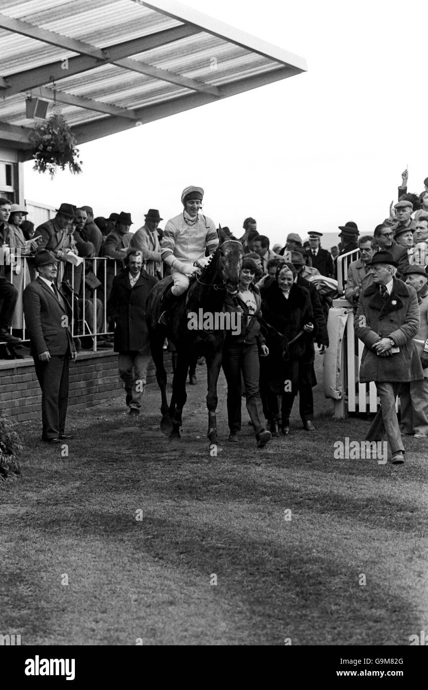 Horse Racing Cheltenham Races The Daily Express Triumph Hurdle