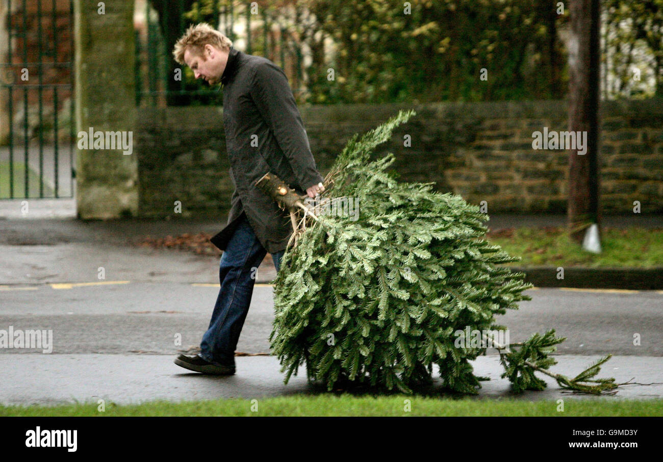 Lphli full length side view christmas tree dragging recycling mangsb hi