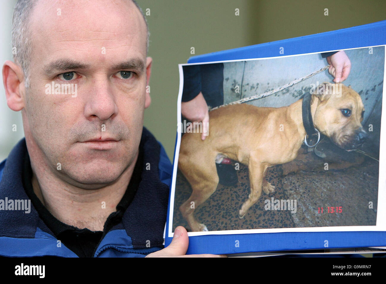 Ballymena council dog warden hires stock photography and images Alamy