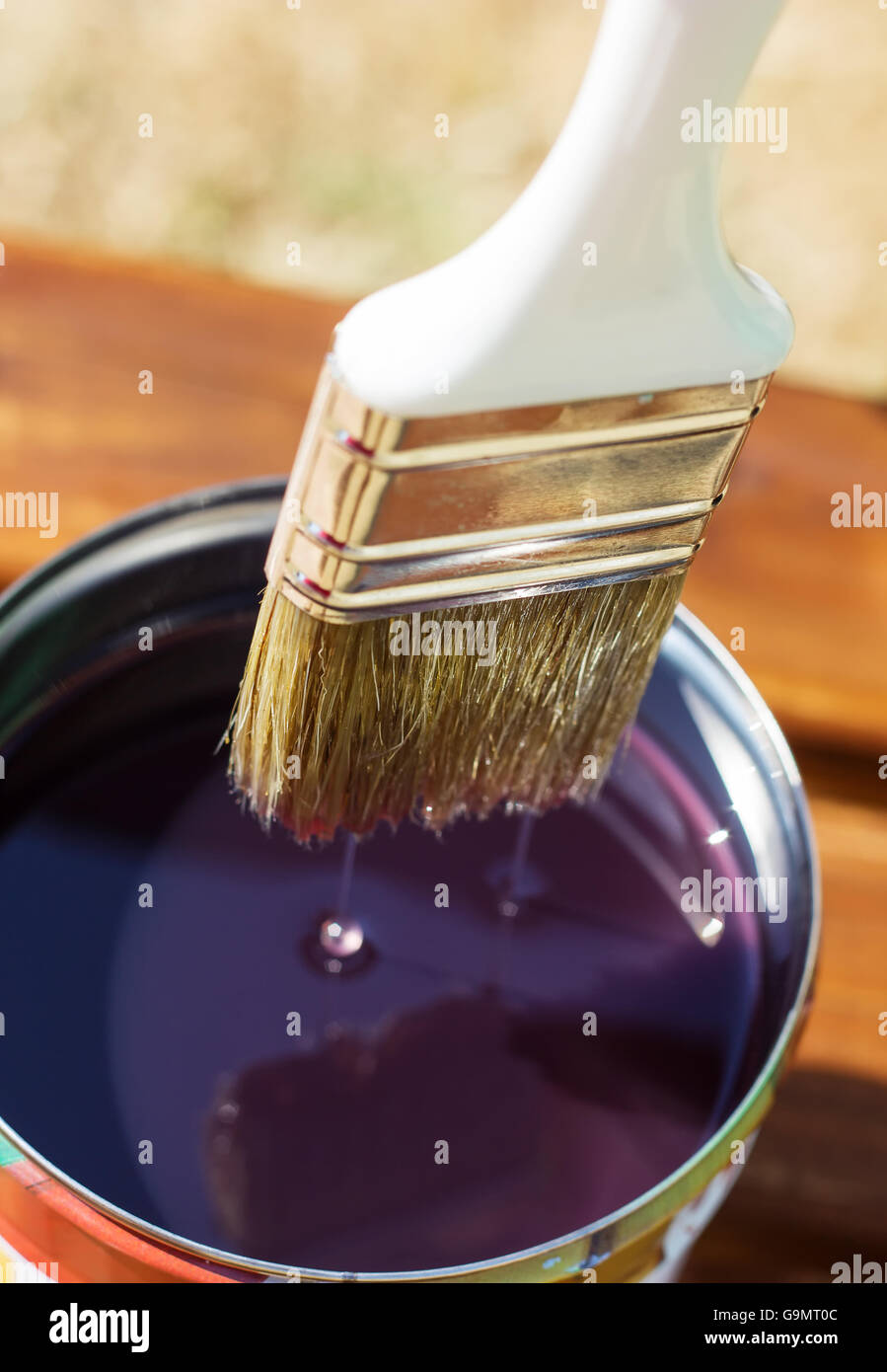 brush dip into pot to painting the wood boards Stock Photo Alamy
