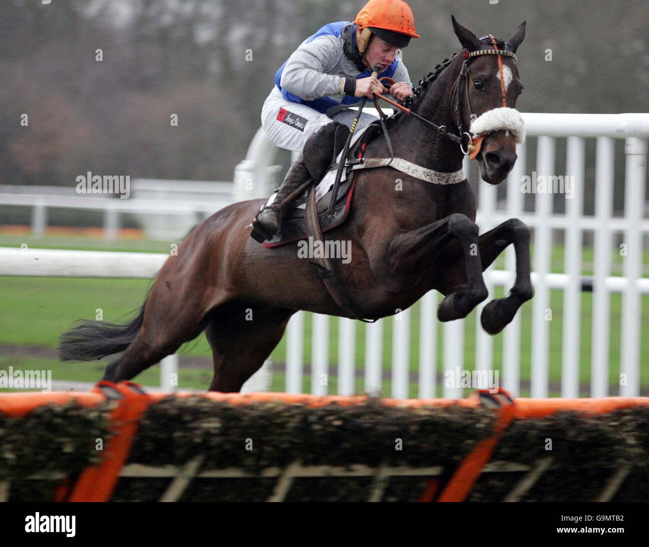 Racing Haydock Stock Photo Alamy