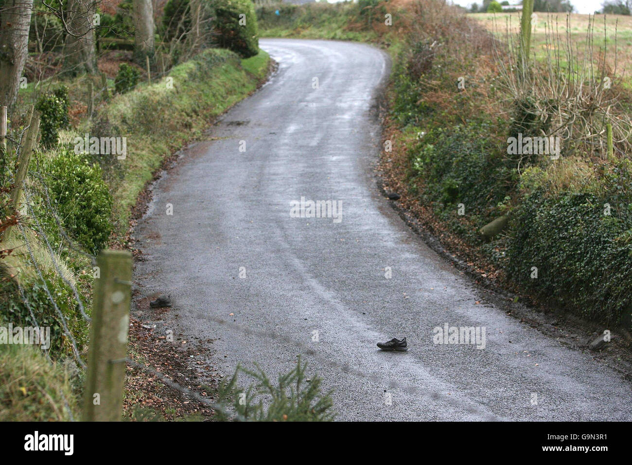 The scene in Dromad, near the border town of Dundalk, Co Louth, after one man died and another was left fighting for his life following a clash with car thieves. Stock Photo
