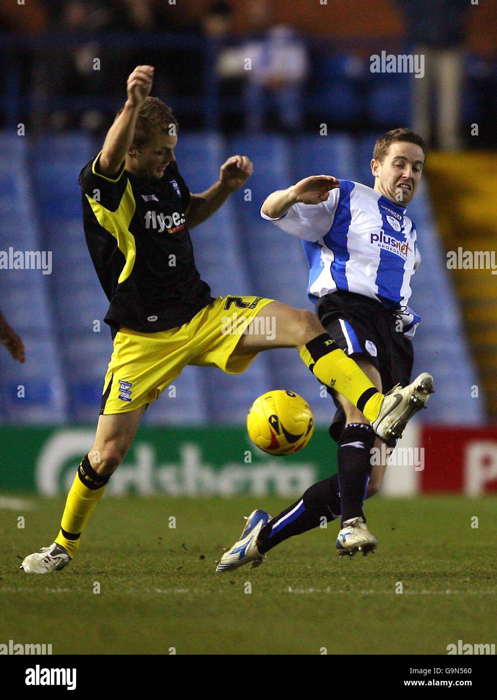 Sheffield Wednesday's Steven MacLean (right) and Birmingham City's Sebastian Larsson battle for the ball during the Coca-Cola Championship match at Hillsborough, Sheffield. Stock Photo