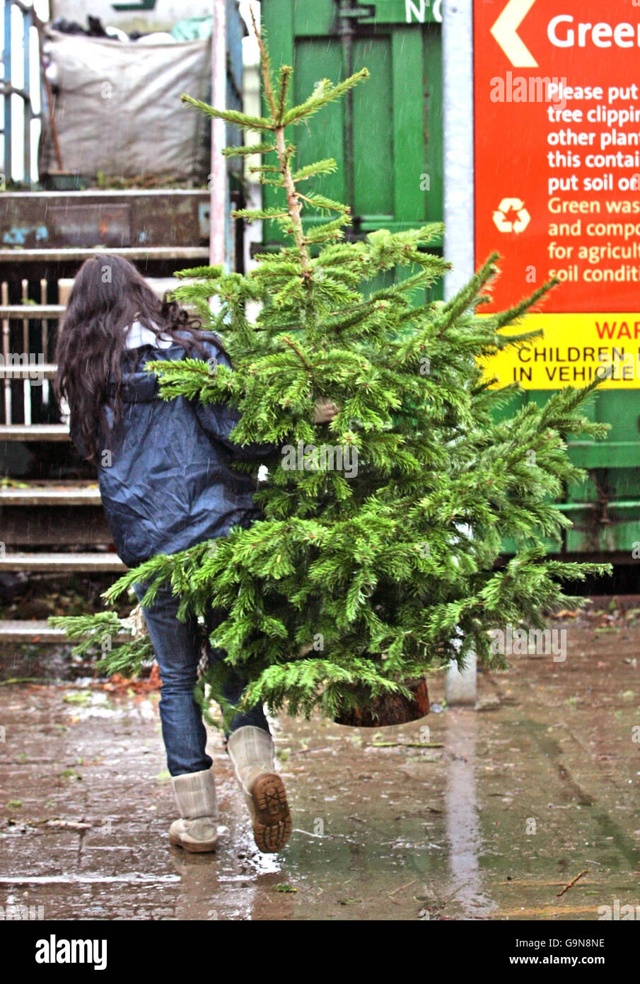 Full length back view christmas tree recycling carrying mangsb hires