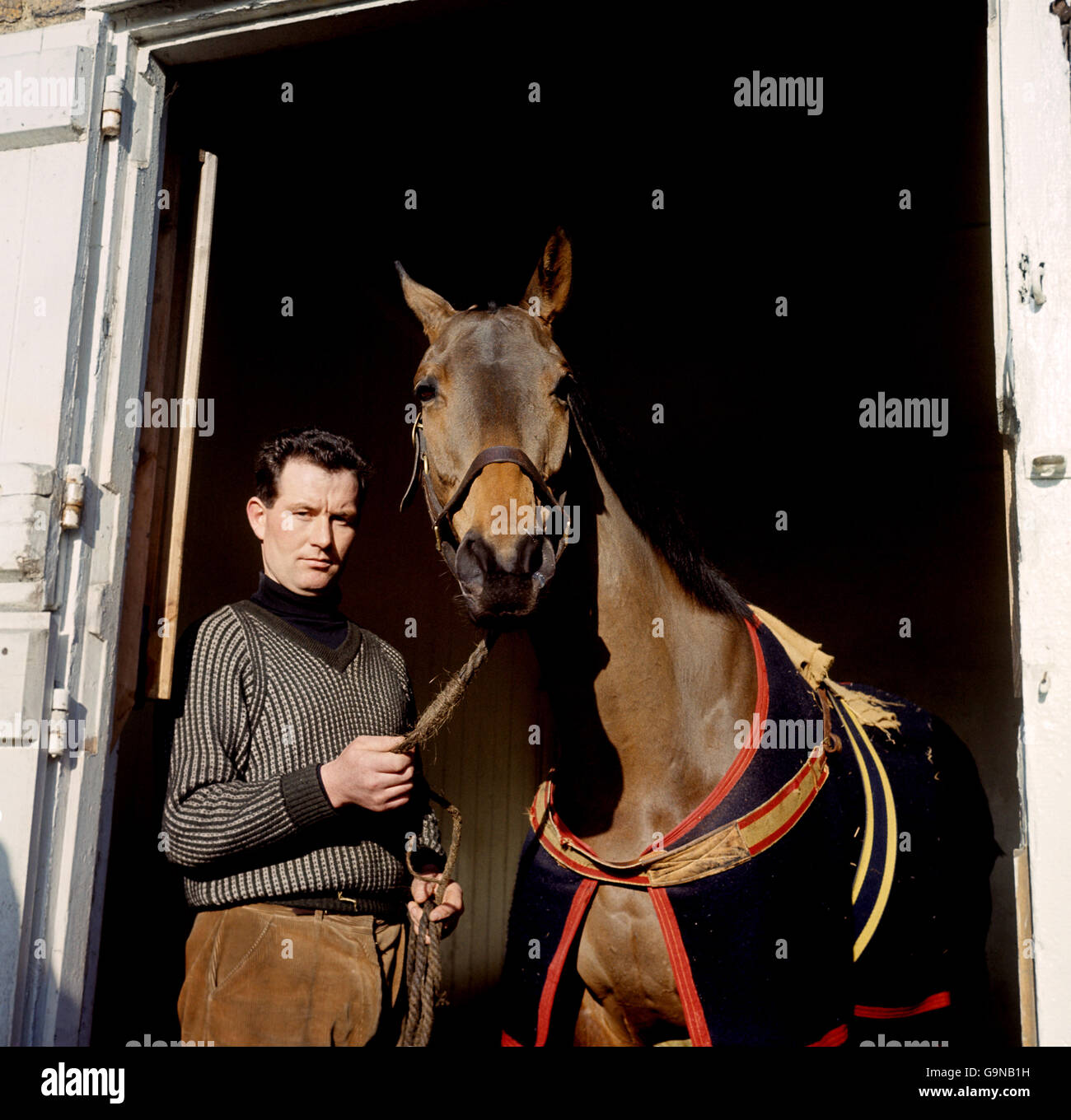horse Racing - Arkle. Arkle recovers from a fractured bone in the leg at Kempton Stock Photo