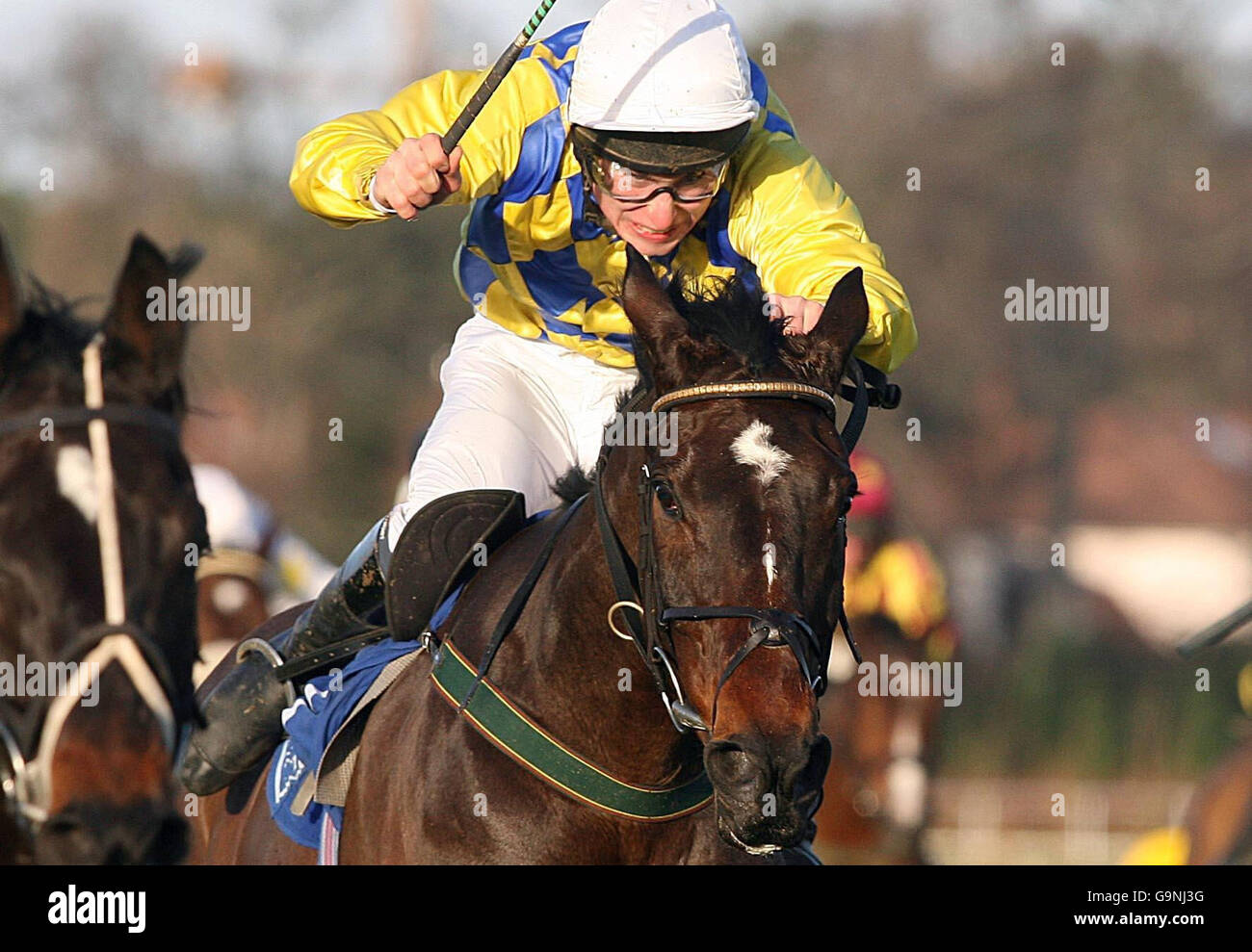 Racing - Leopardstown Stock Photo - Alamy