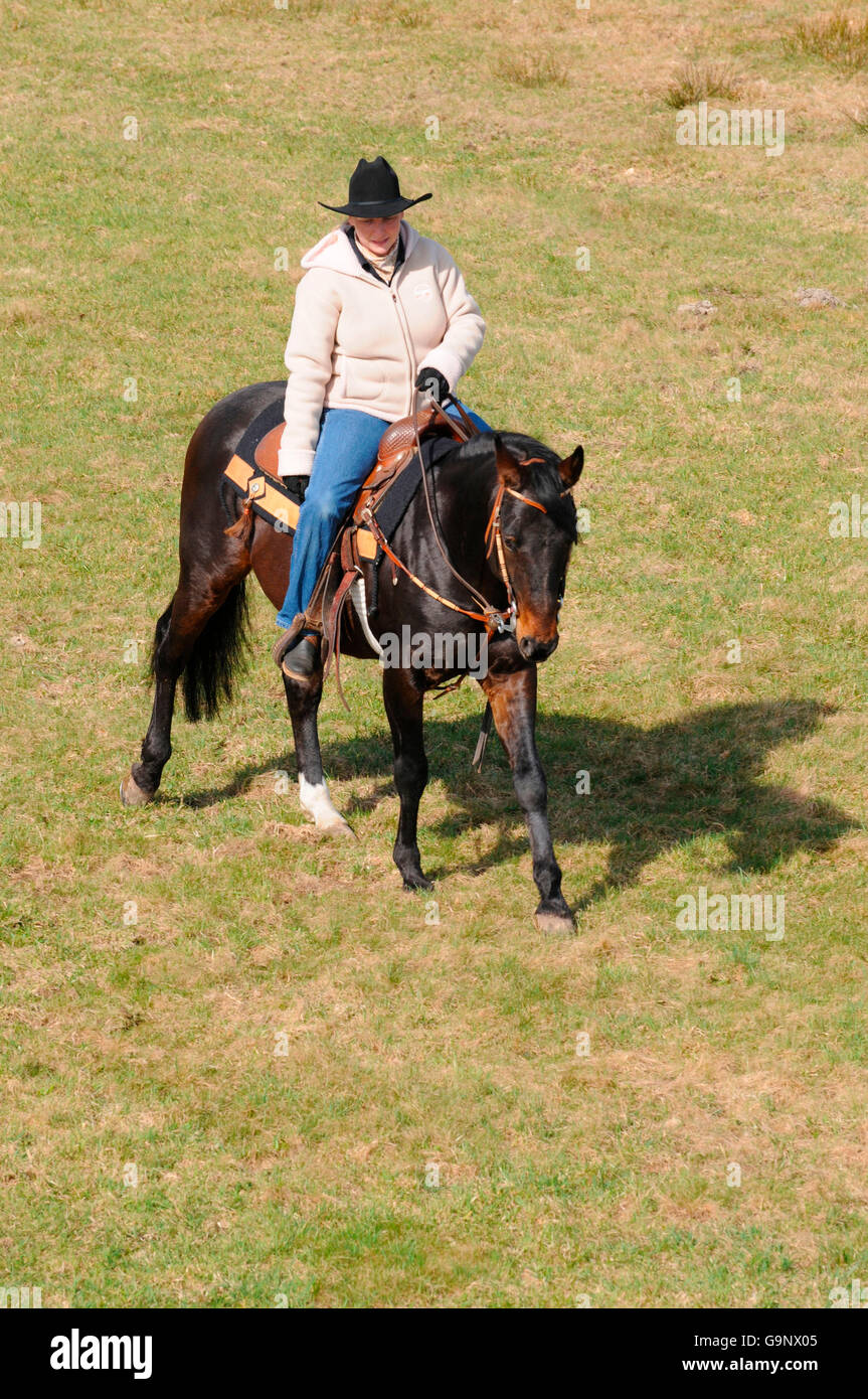 Woman riding American Quarter Horse, stallion / walk Stock Photo - Alamy