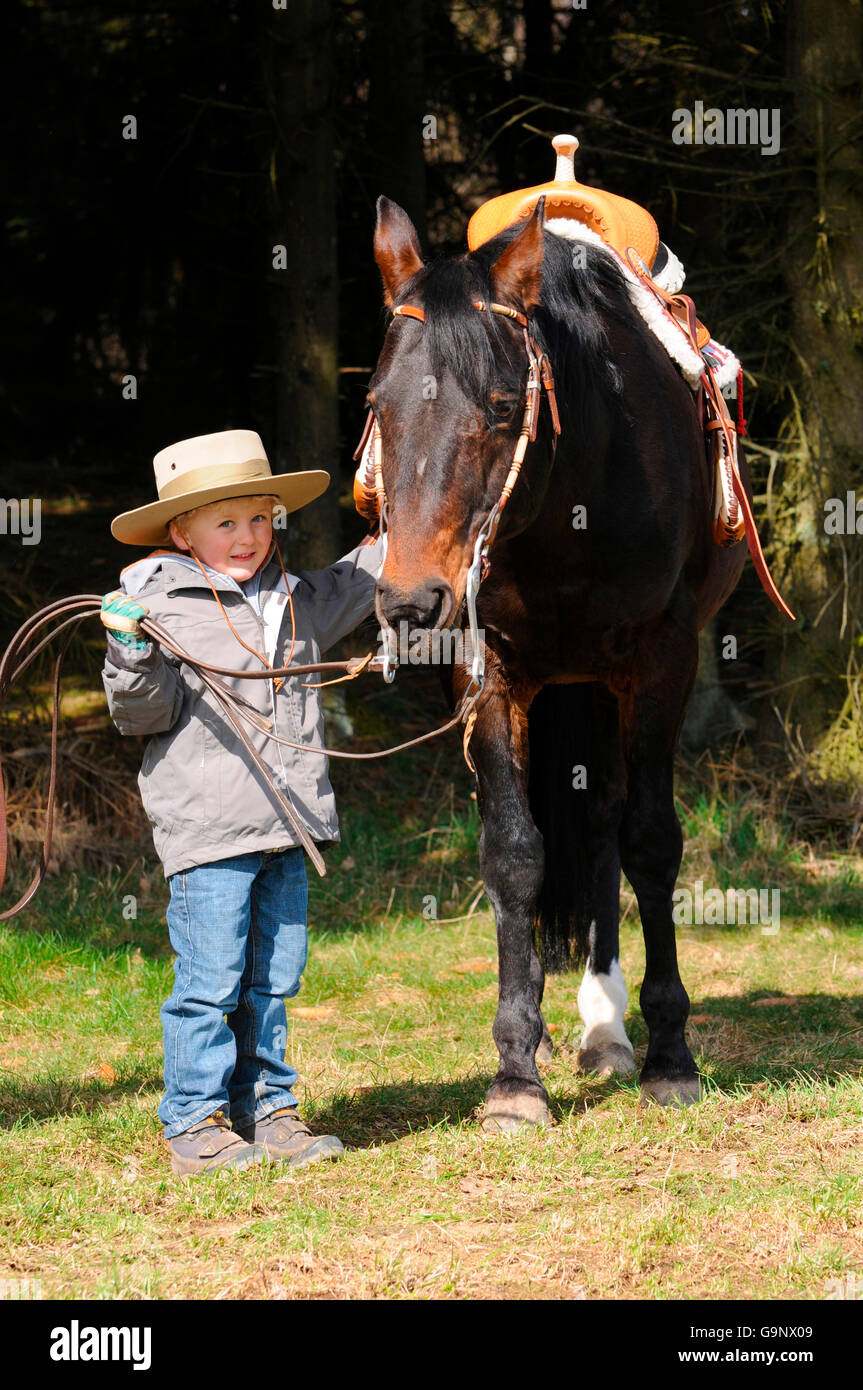 Boy with American Quarter Horse, stallion / reins Stock Photo