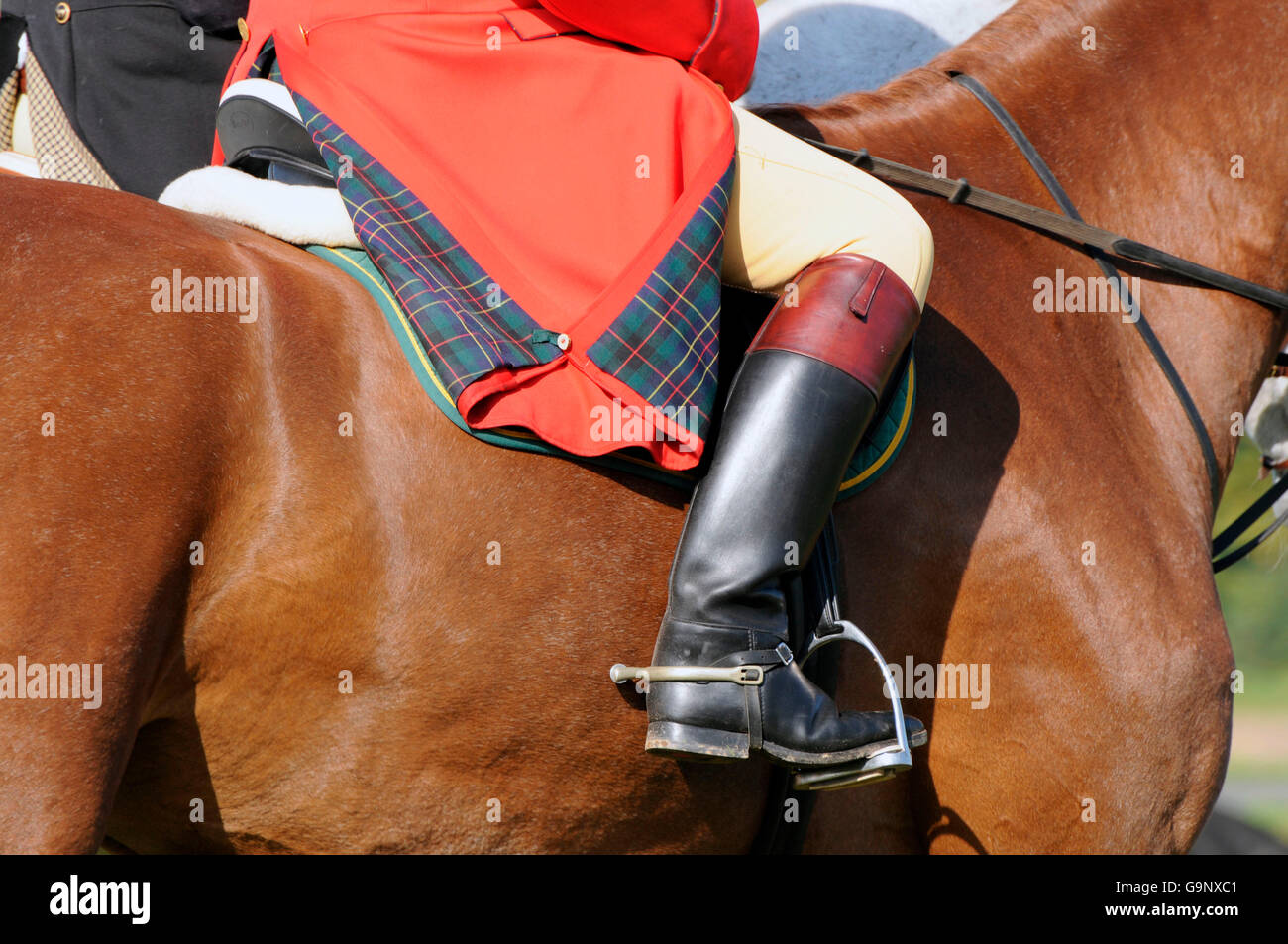 Rider, riding boot, spurs, stirrup Stock Photo Alamy