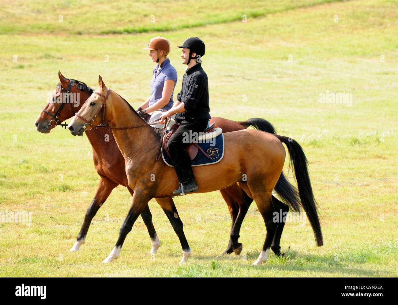 Rider with AkhalTeke, stallions / walk, riding helmet Stock Photo Alamy