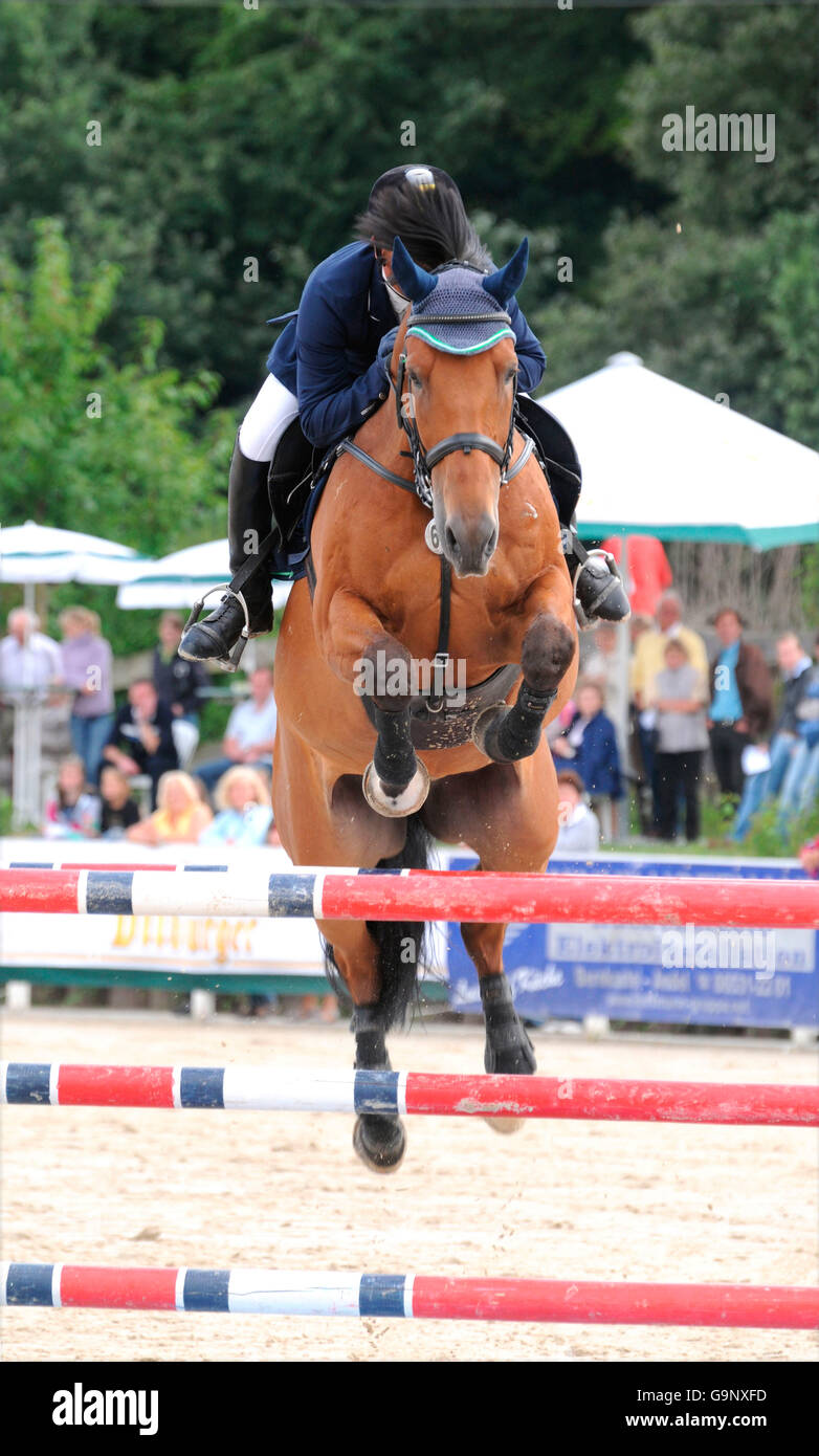 German Warmblood Horse, Show Jumping / obstacle, breastplate Stock Photo
