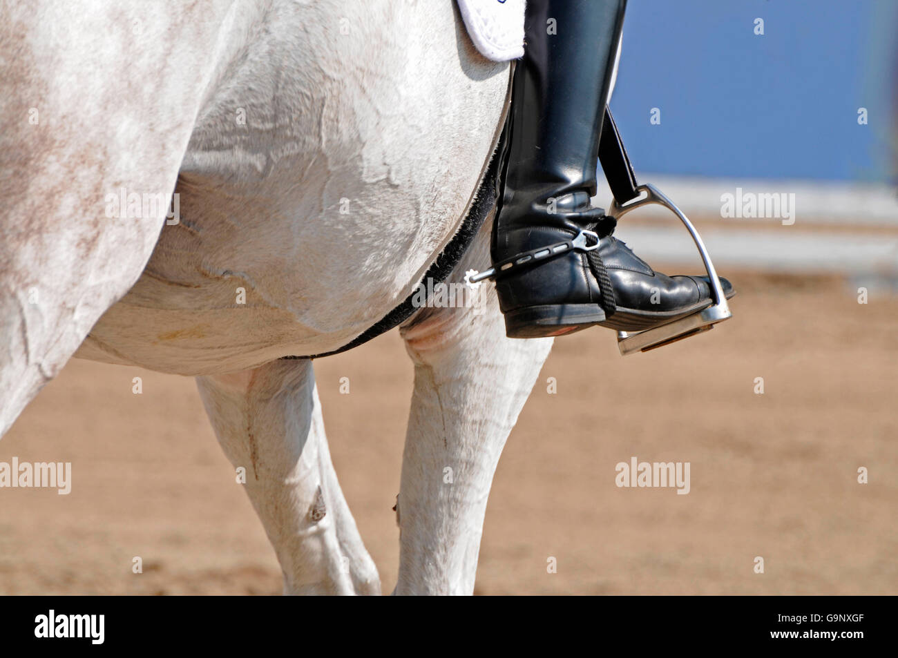 Dressage / spur, stirrup, riding boots Stock Photo