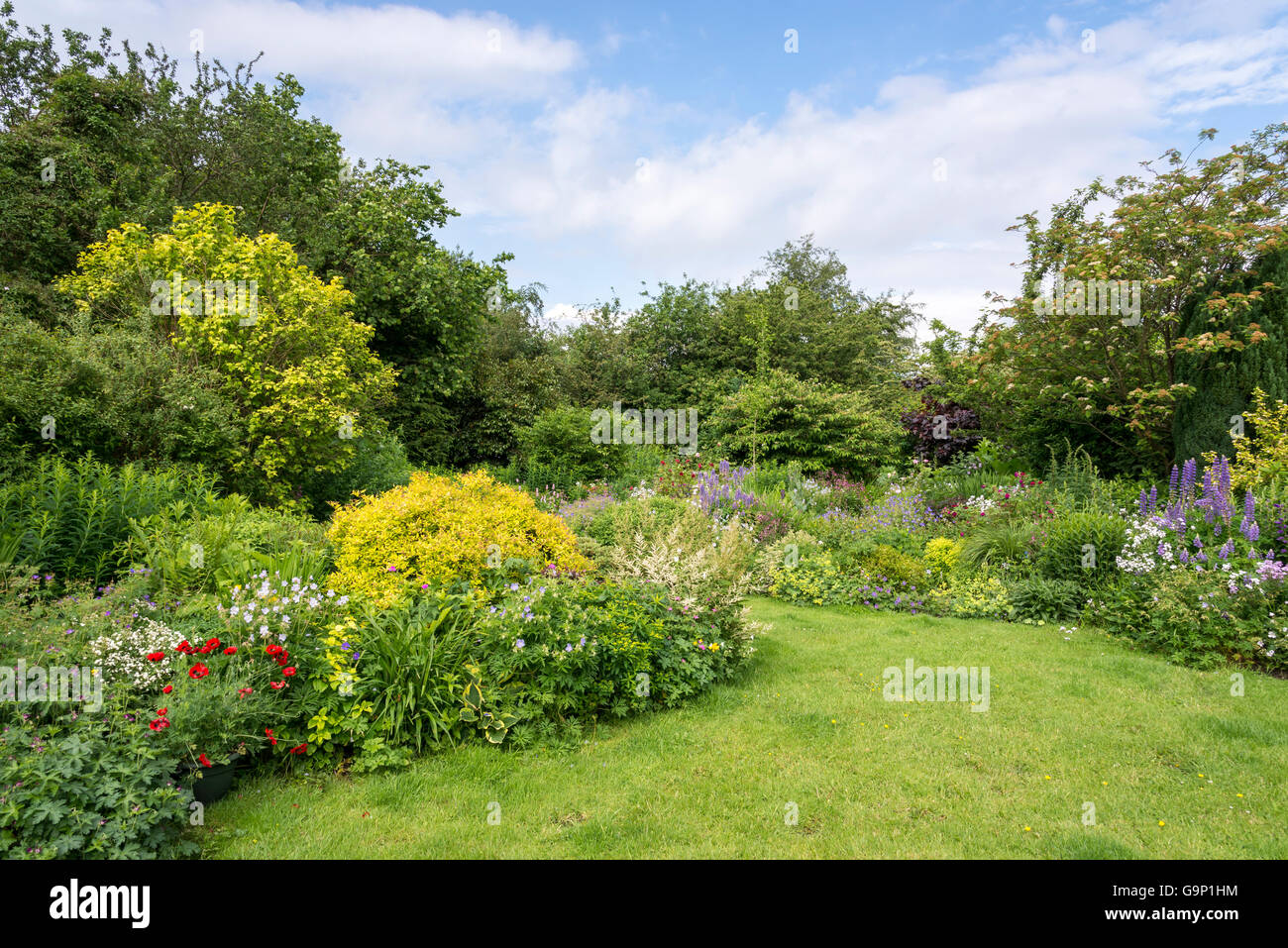 Beautiful English country garden in mid summer. An abundance of mixed planting including various shrubs and perennials. Stock Photo