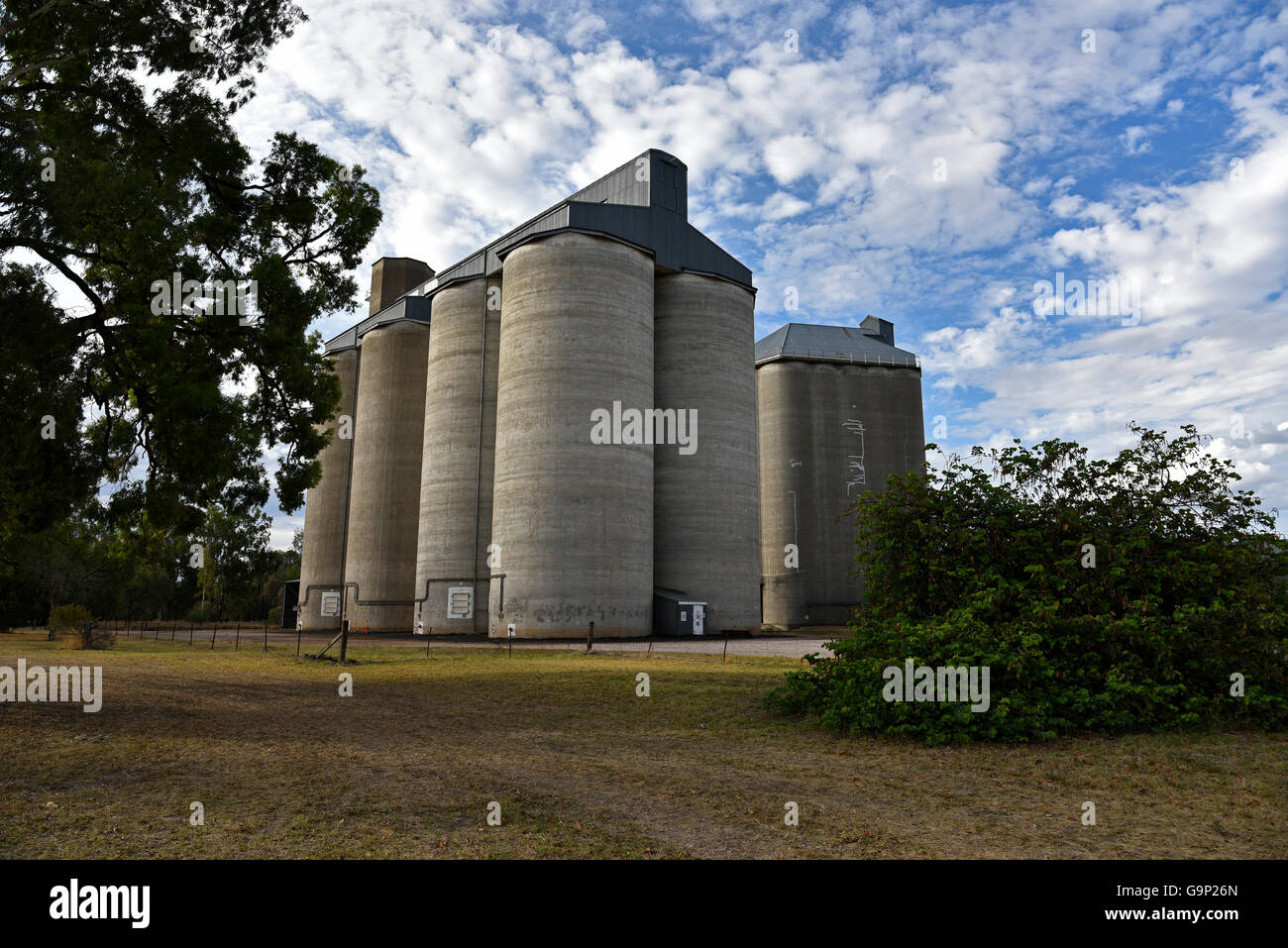 Massive grain silo's outside chinchilla in south queensland australia