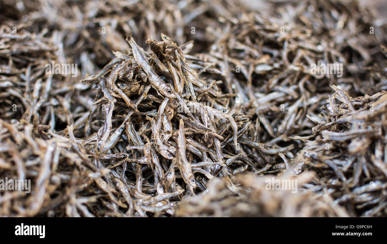 Malawian dried fish (usipa) Stock Photo