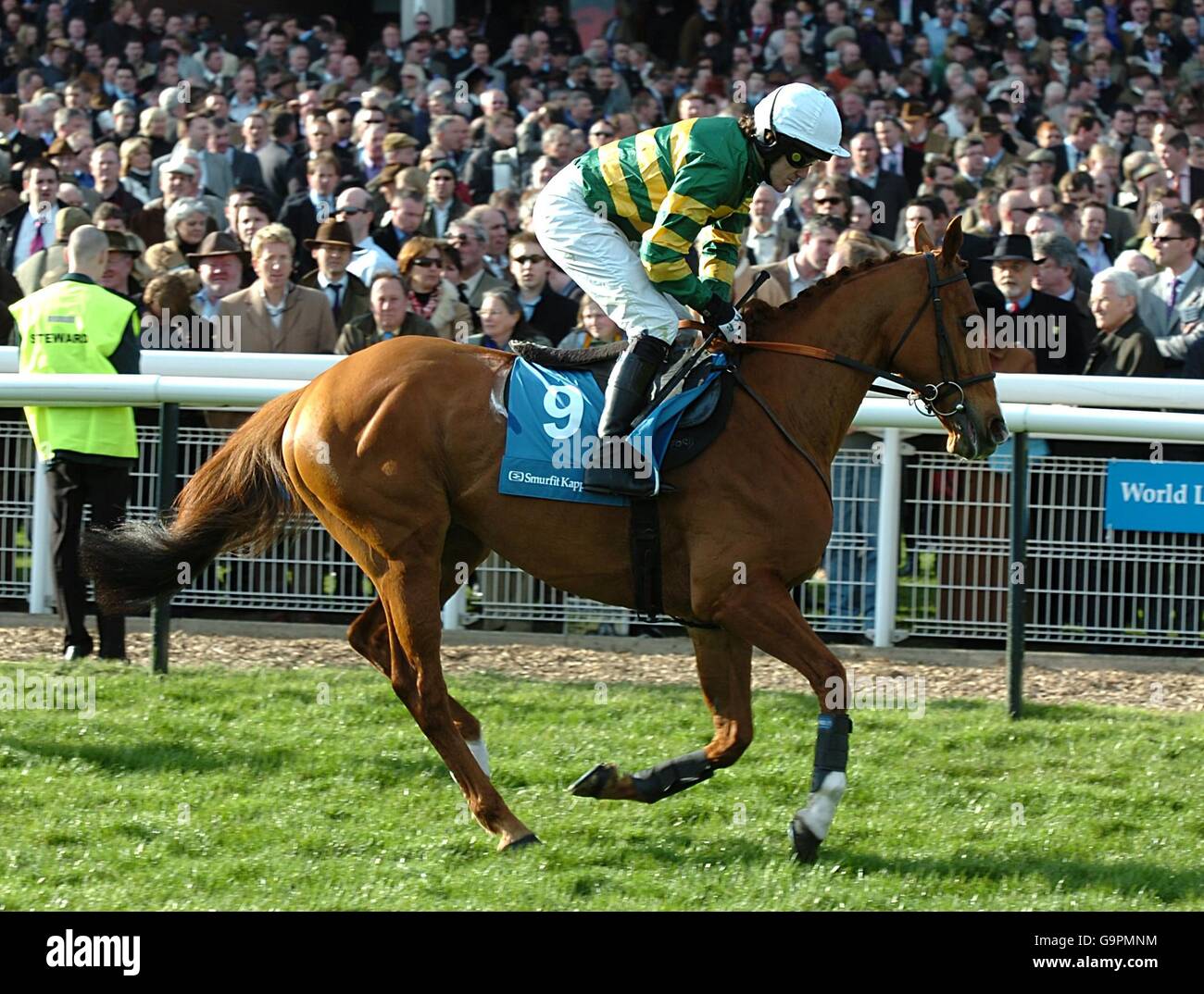 Straw Bear ridden by Tony McCoy going to post in the Smurfit Kappa Champion  Hurdle Challenge Trophy (Grade 1 Stock Photo - Alamy