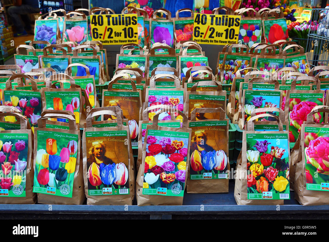 Tulip flowers bulbs on sale in the flower market in Amsterdam, Holland  Stock Photo - Alamy
