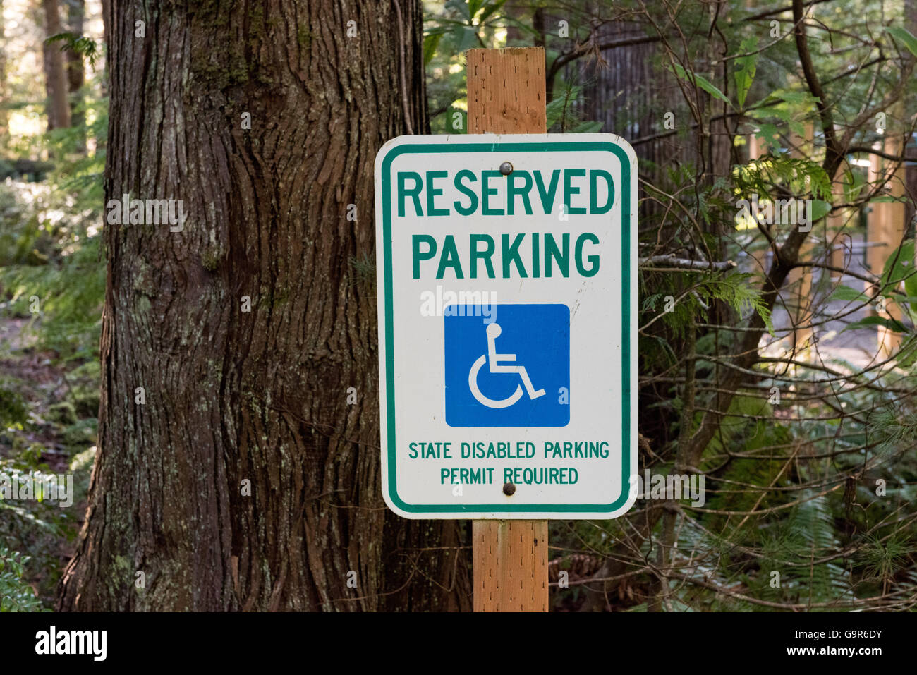 Handicapped Sign Stock Photo