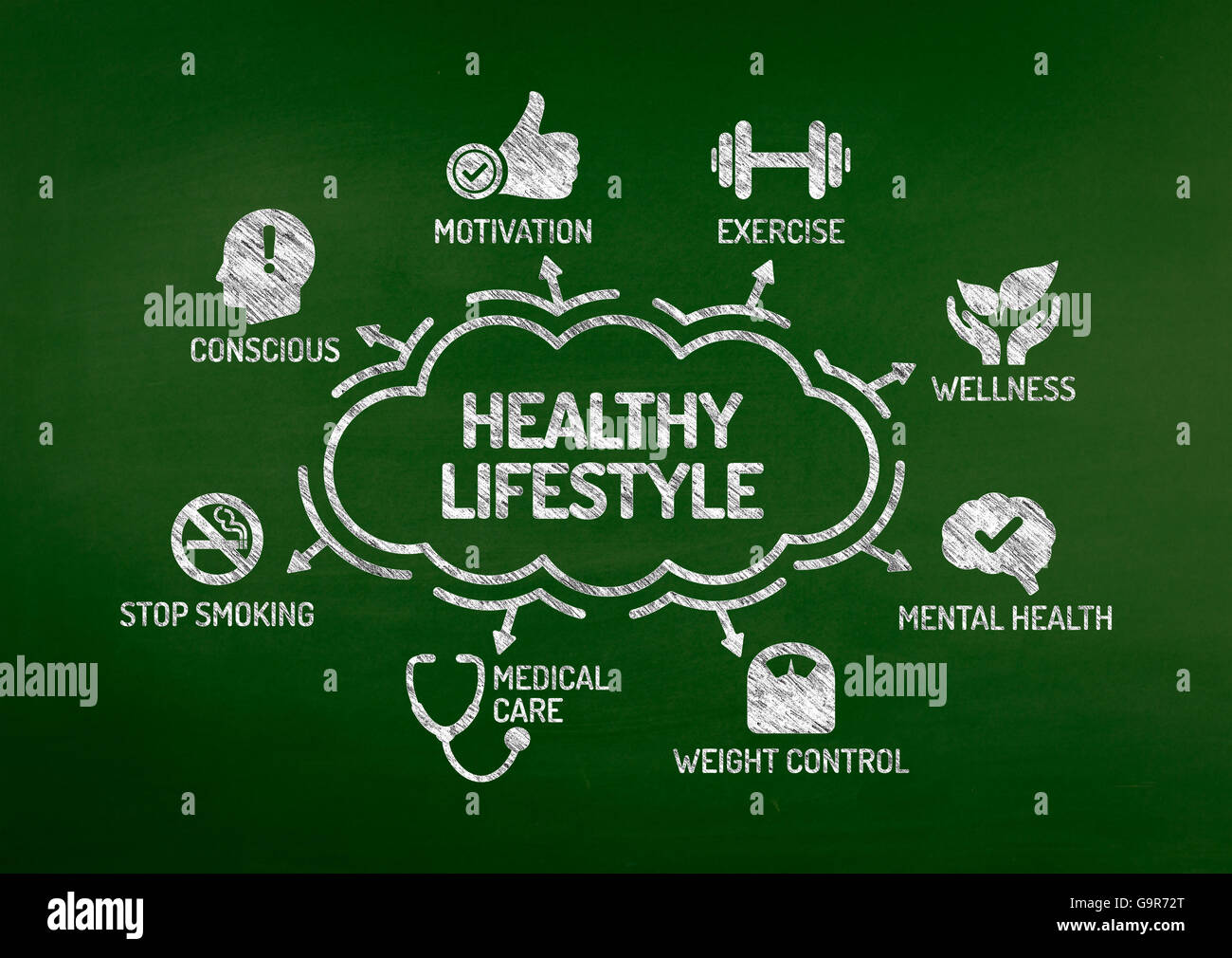 Lifestyle Size Chart