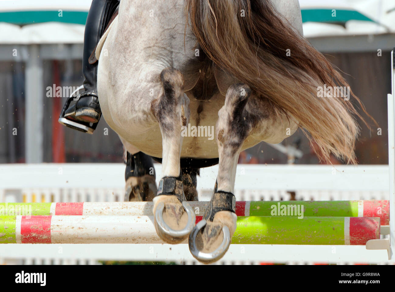 ShowJumping / obstacle, hurdle, hoof, horseshoe Stock Photo Alamy