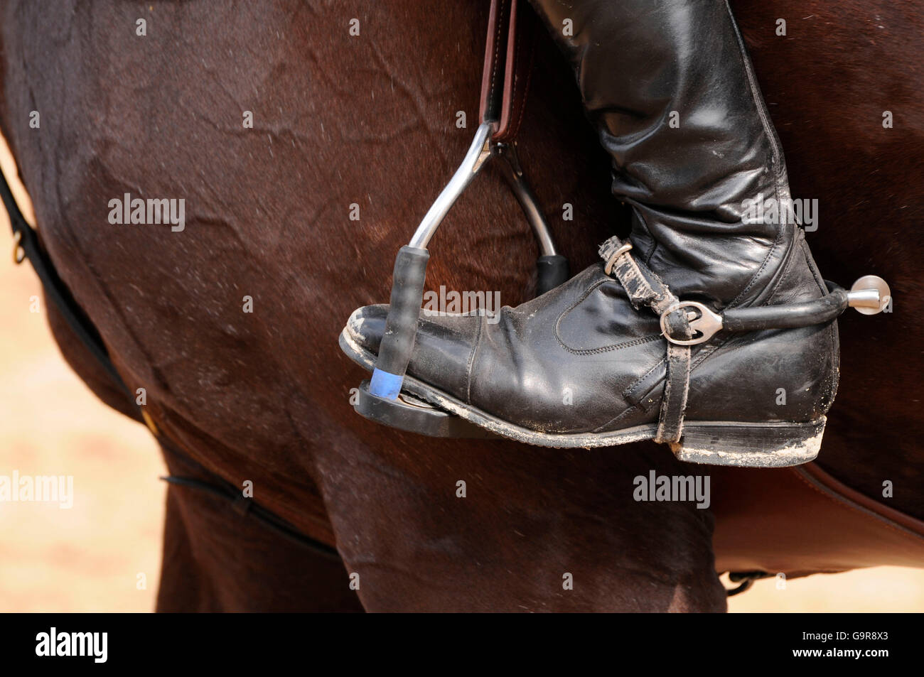 Stirrup hi-res stock photography and images - Alamy