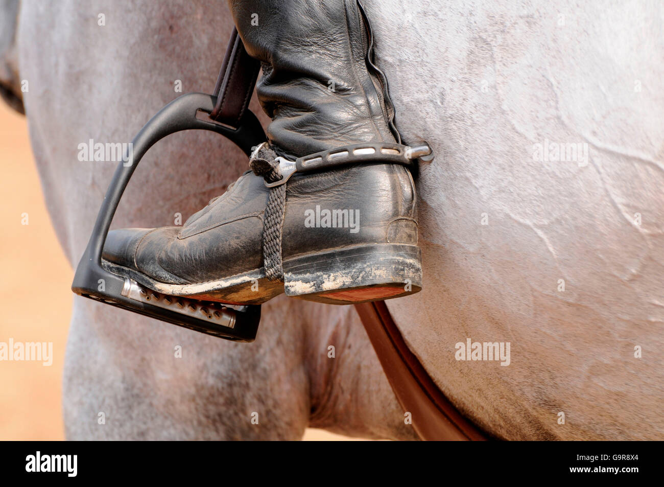 Stirrup, Riding Boots with applied spur Stock Photo