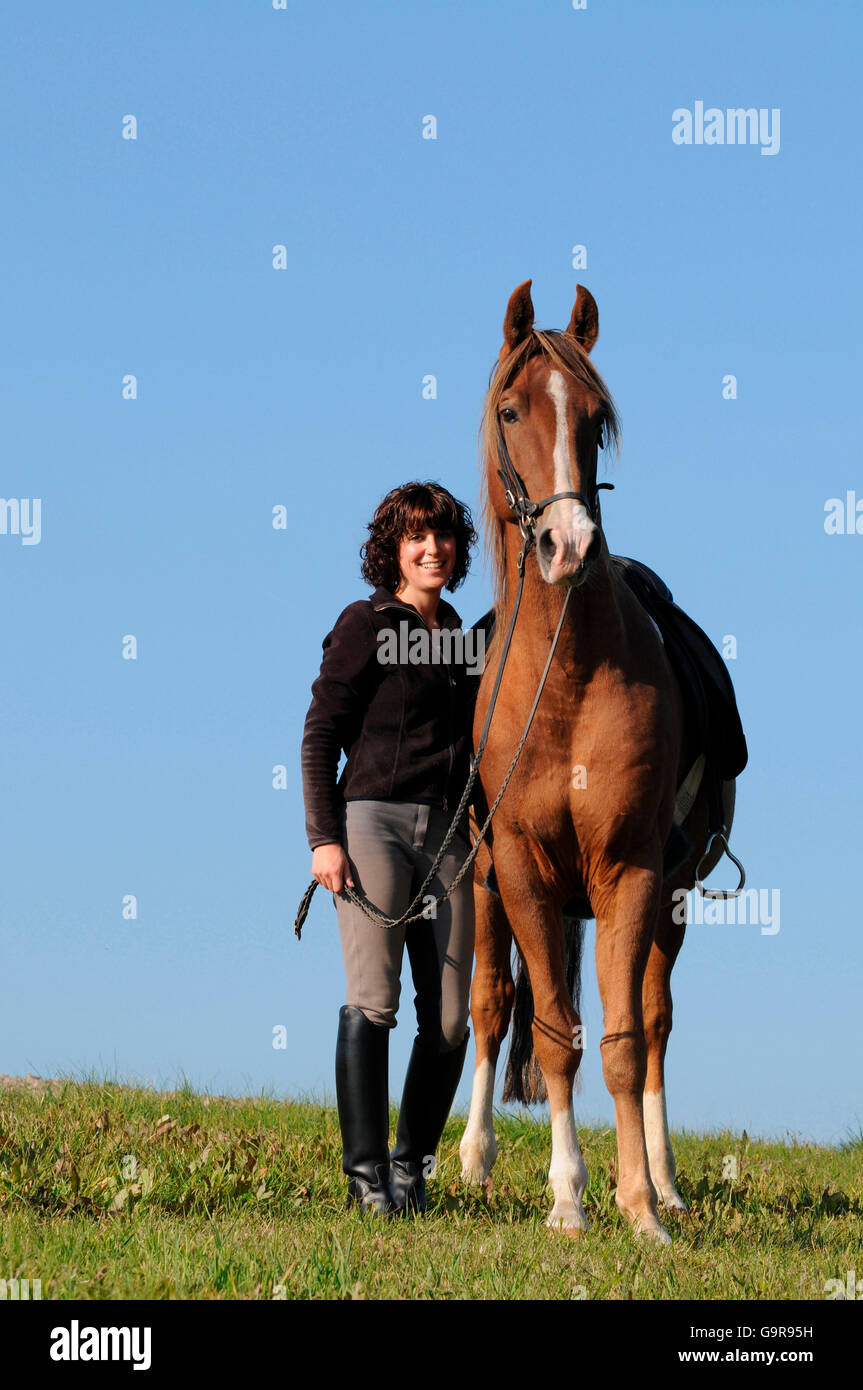 Woman with American Saddlebred Horse / sorrel Stock Photo