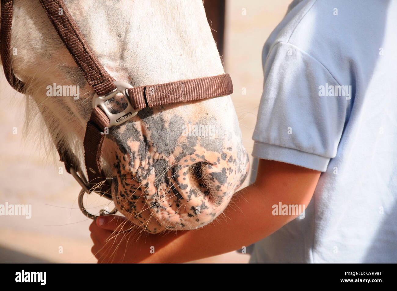 Child with Horse / mottled skin Stock Photo