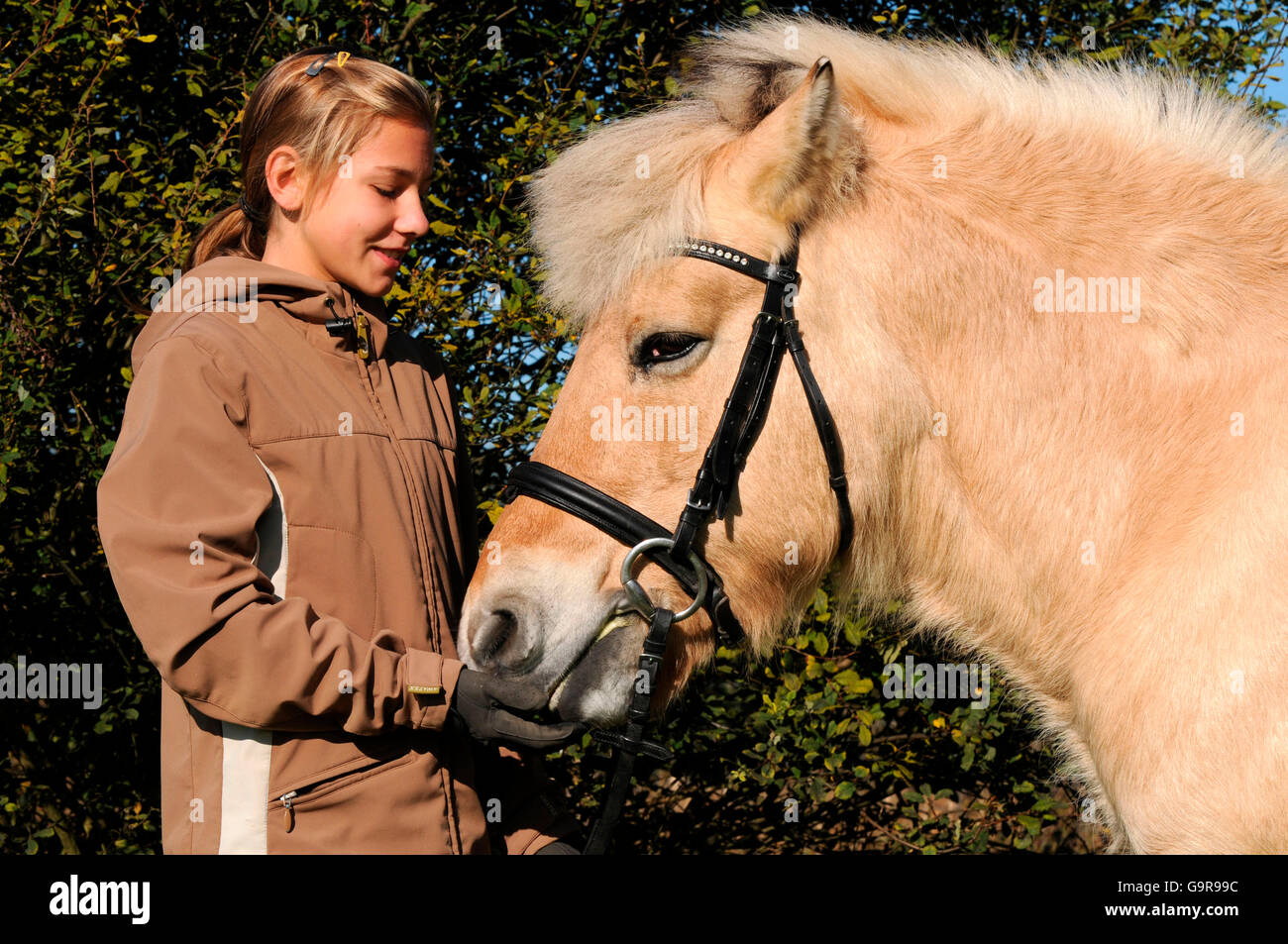 Girl with old Norwegian Horse, mare, 23 years old / tack Stock Photo