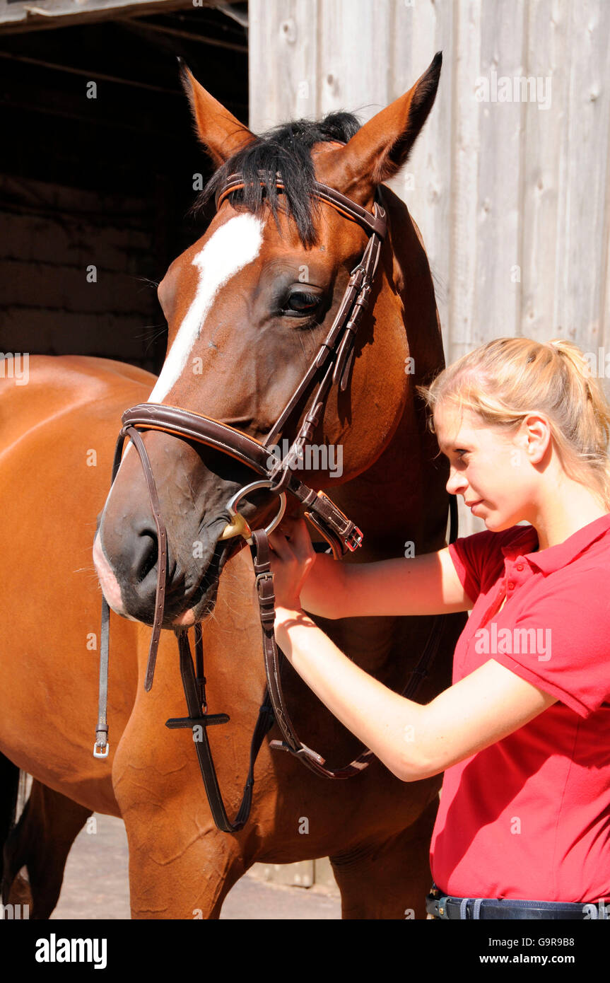 Girl tacking up German Warmblood / bridle, bit Stock Photo