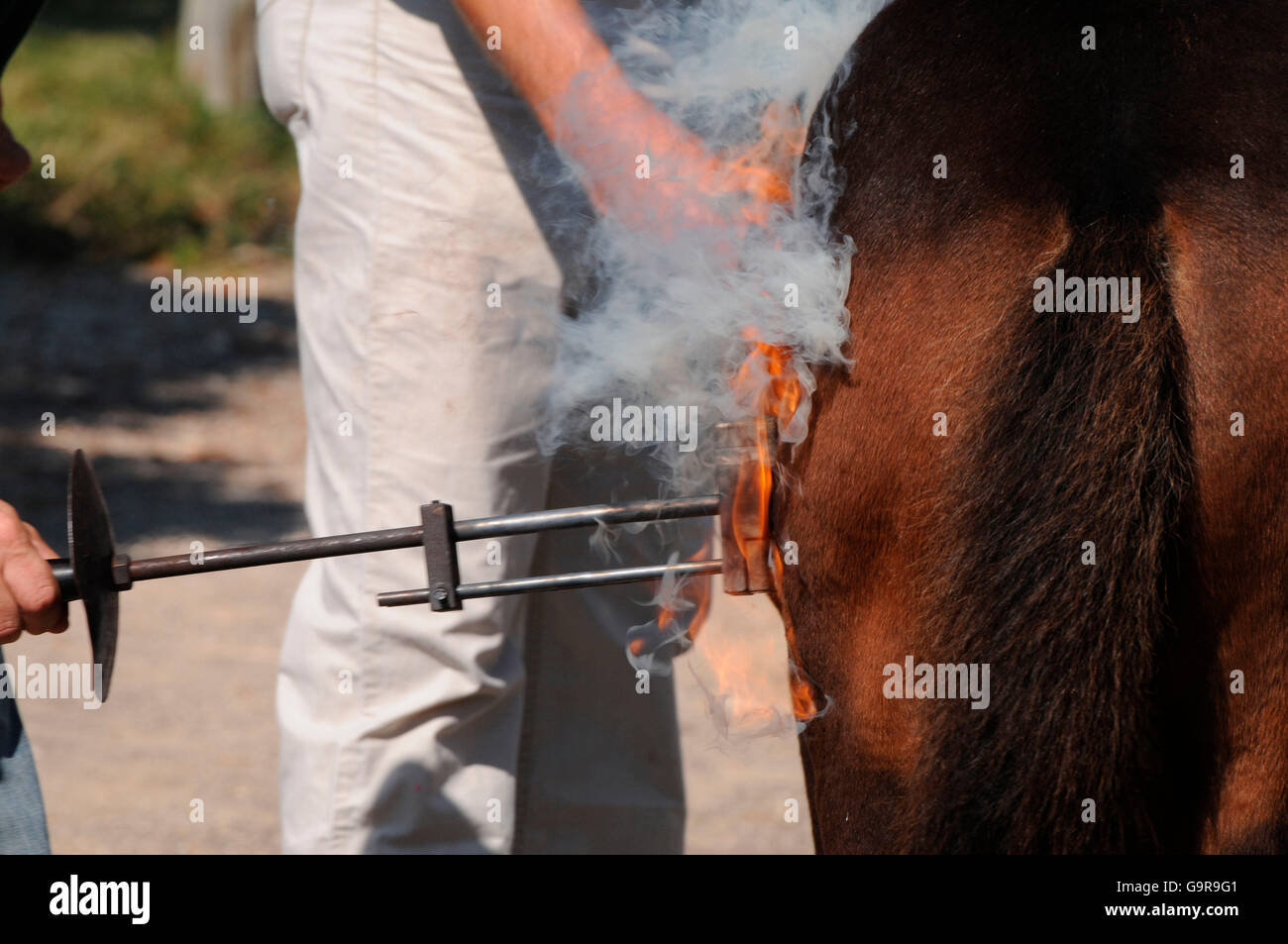 Branding Iron Stock Photos & Branding Iron Stock Images Alamy
